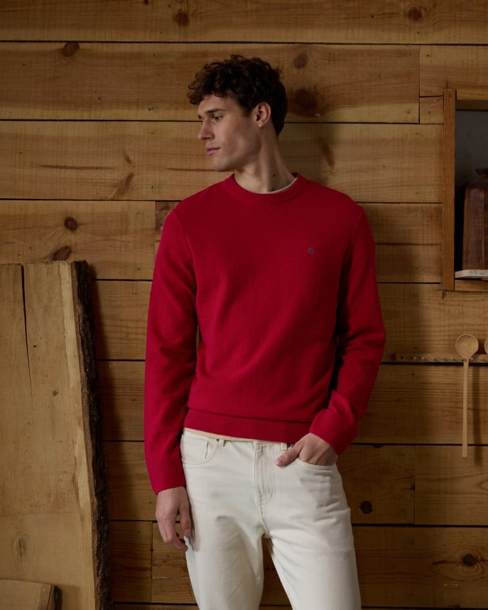 Pull col rond en coton Homme - Faguo [Marly]